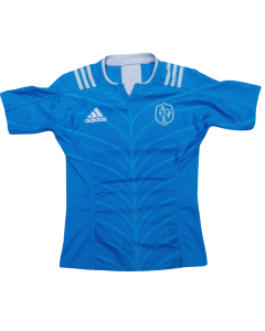 Camiseta Test Match Francia Alternativa Celeste - comprar online