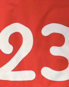 Campera entrenamiento Francia World Cup 2023 en internet