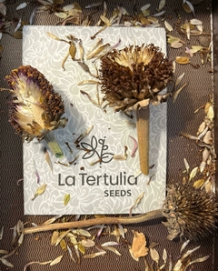 Banner de la categoría Semillas