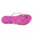 Chinelo Feminino Havaianas Cat na internet