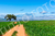 Paraná [012] - comprar online