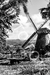 Caribe [013] - comprar online