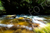 Bocaina [017] - comprar online