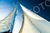 Caribe [032] - comprar online