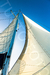 Caribe [033] - comprar online