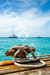 Caribe [048] - comprar online