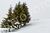 Austria [005] - comprar online