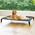 Cama elevada para perros al aire libre, cuna elevada para perros grandes, la instalación no requiere herramientas, marco con pies antideslizantes de m