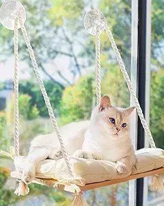 Percha para ventana para gatos, hamaca para ventana, asiento de madera maciza y ventosas fuertes, cama y muebles para gatos en el interior, estante de