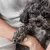 Pulseira com Impressão de Patas Dupla Face | Corrente Grumet - Leoma