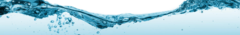 Banner de la categoría PATAGONICO