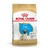 Royal Canin (Pug Puppy x 1kg)