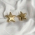 Aretes Globo Estrella - comprar en línea