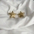 Aretes Globo Estrella en internet