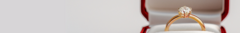 Banner de la categoría Anillos