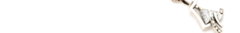 Banner de la categoría Dijes