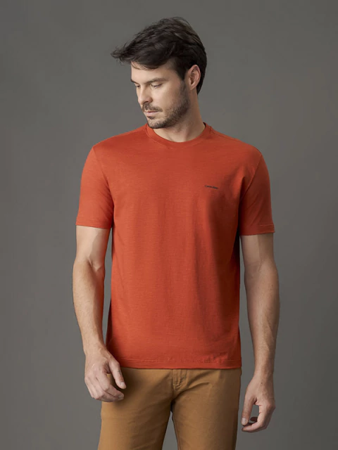 CAMISETA CALVIN KLEIN FLAME