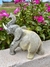Elefante Jaspe Limão