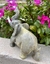 Elefante Jaspe Limão - comprar online