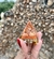 Imagem do Pirâmide Orgonite
