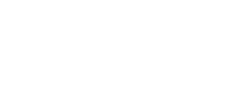 Faisan Gin