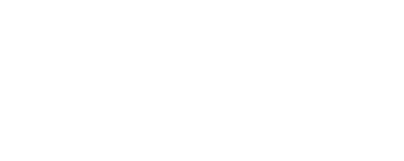 BONES