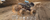 OEING 1:12 4x4 Off-Road RC Car: Remote Control, LED Lights, Racing Buggy and All-Terrain Performance on internet