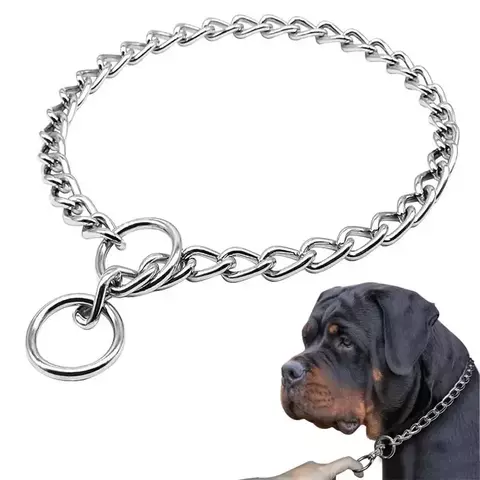 Stainless Steel Chain Collar: Adjustable and Secure