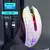 kebidumei Bluetooth 5.2 RGB Gaming Mouse: Silent, Rechargeable and Multi-Device