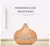 Relax and Renew Your Environment: Air Humidifier with Aromatherapy Diffuser, Remote Control and Colorful LED Lights!