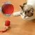 Safe, Interactive Fun: Electric Rolling Ball for Cats - Automatic, Rechargeable Entertainment