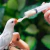 seringa com colher de plástico alimentador para pássaros Filhotes 20ml - loja online