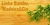 Banner de Elilar Utilidades