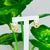 Argola cravejada - comprar online