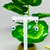 Brinco de olho grego - comprar online