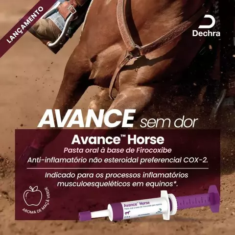 Avance Horse 27,5 Gr - Dechra