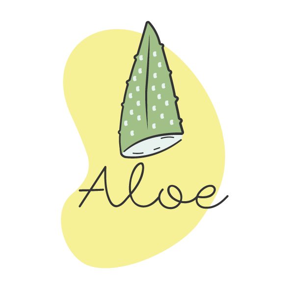 Aloe Basics
