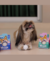 Petisco Weggs de Lombinho com Cúrcuma para Cães 1un - comprar online