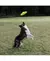 Kong Reflex Glide Flyer - Disco Flutuante - comprar online