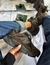 NB 9060 PRIME - loja online