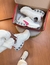 AIR MAX OFF WHITE/PINK - INVICTUS SHOES