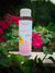 Shampoo para niñas Frutal en internet