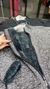 CAMPERA LANA HOMBRE - comprar online