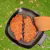 Imagen de Sarten Plancha 20cm Antiadherente Mango Plegable