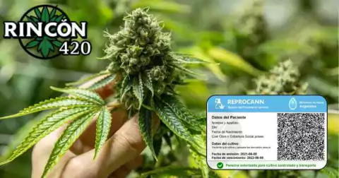 Rincon420