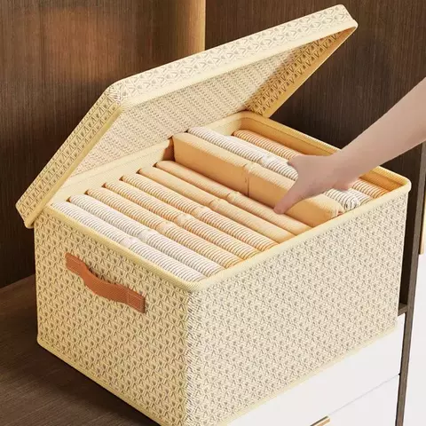 CAJA ORGANIZADORA GRANDE CON TAPA