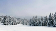 Banner de la categoría Otoño - Invierno