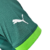 Camisa Palmeiras I 23/24 Jogador Puma Masculina - Verde - TDCFUT