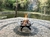 Lareira Portátil Firepit - comprar online