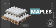 Banner de la categoría Maples